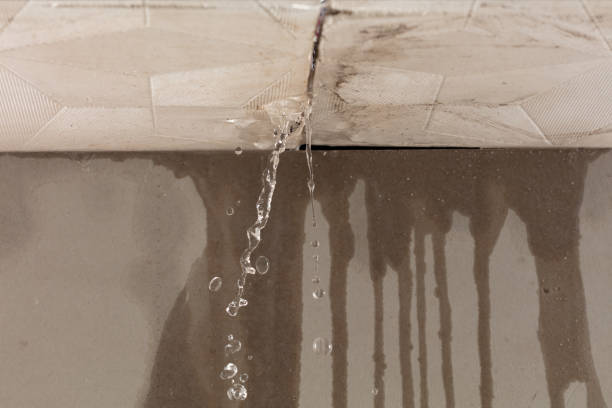 Professional Flood Damage Cleanup technician working in Waynesboro, MS